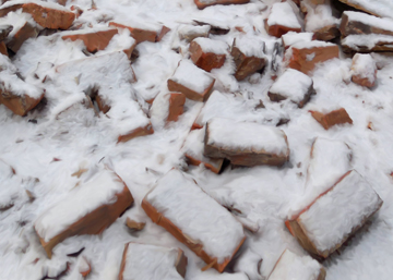bricks